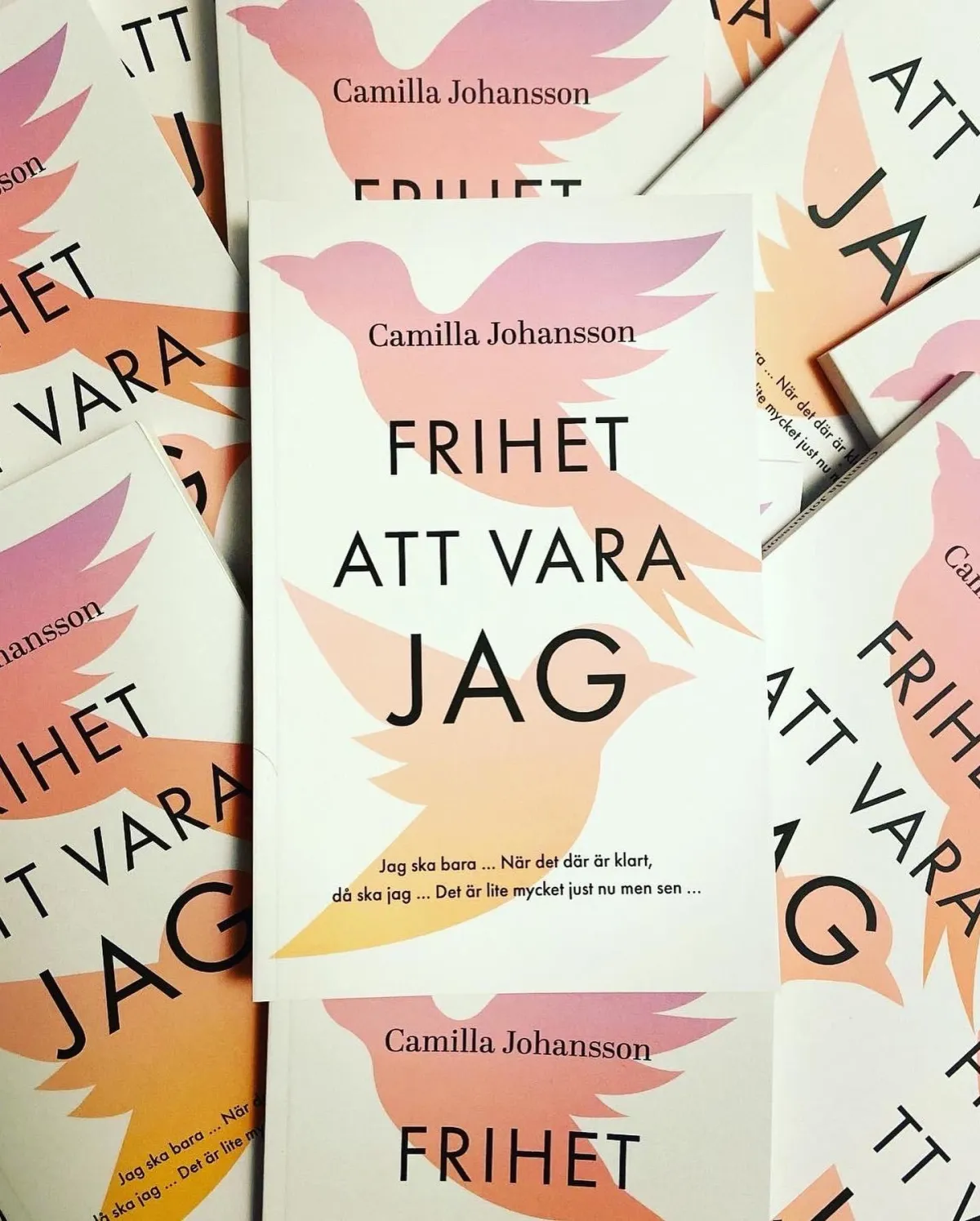 Bokomslag Frihet Att vara Jag av Camilla