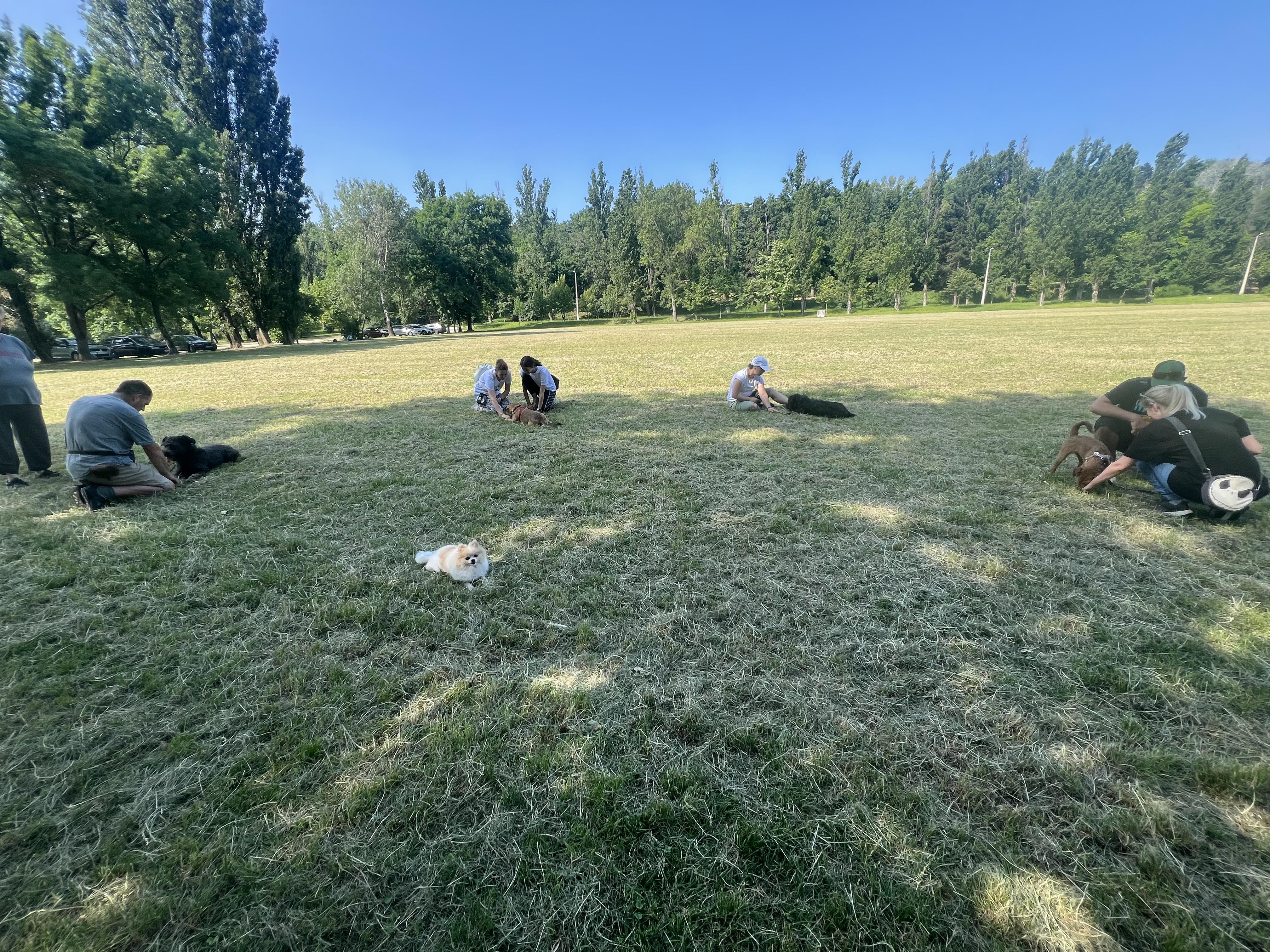Szabadtéri kutyaképzés természetes környezetben