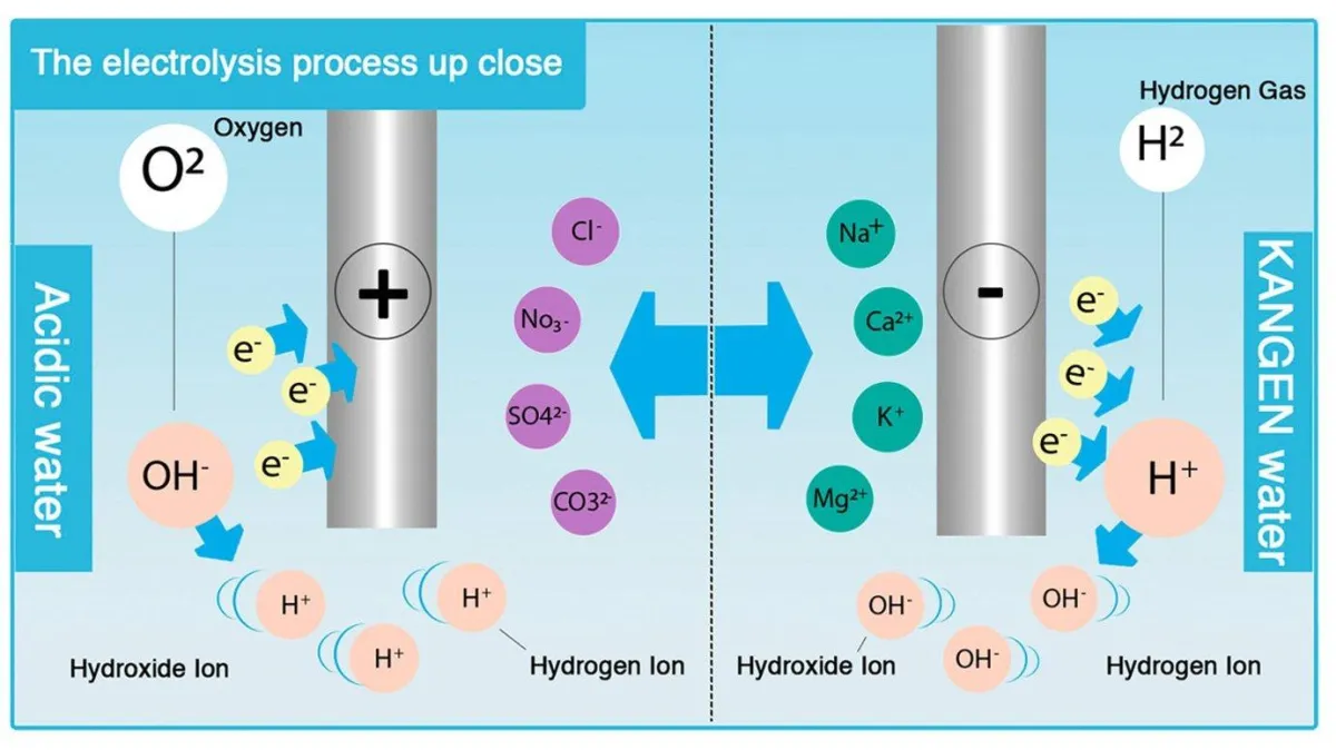 Clear water gently washes ashore on the beach.