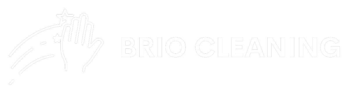 brio logo