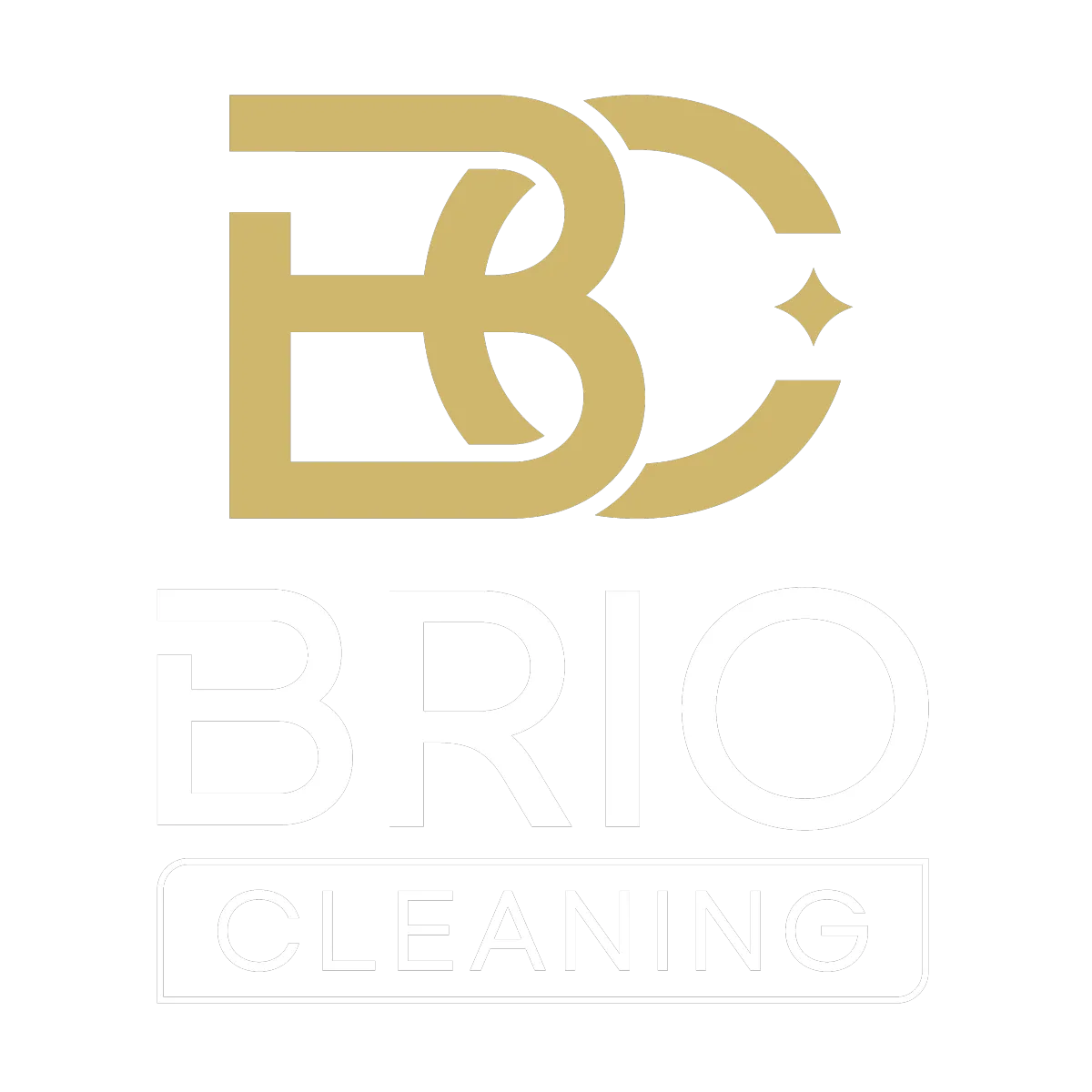 Logo Brio Cleaning
