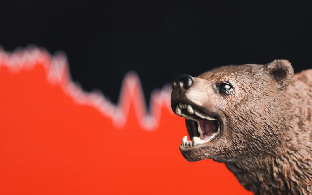 Market Insights