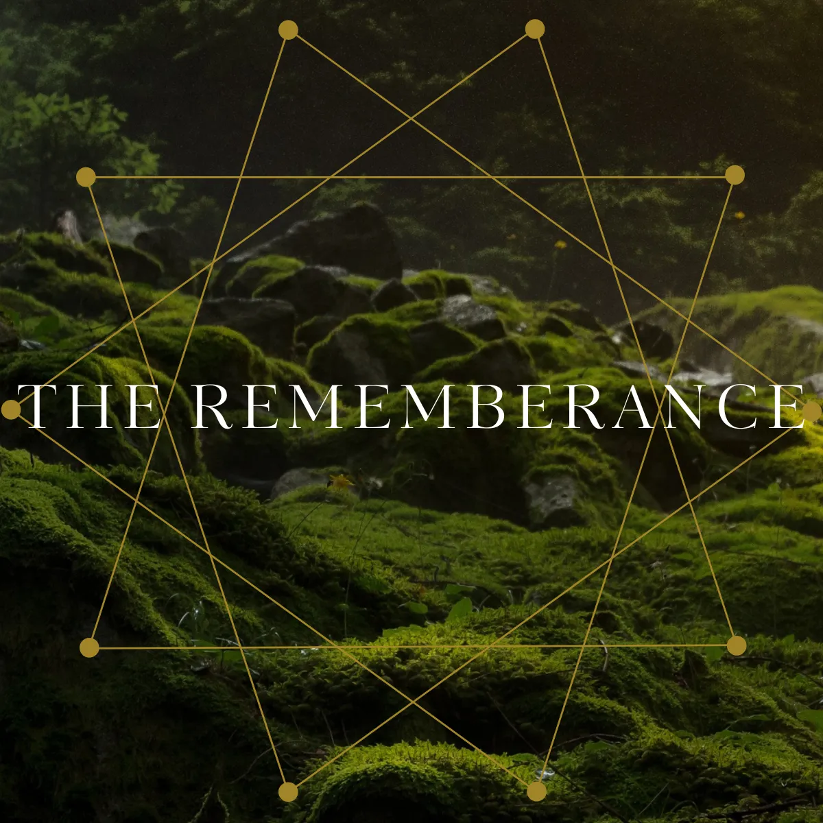 The Rememberance Community | Angie Grimes