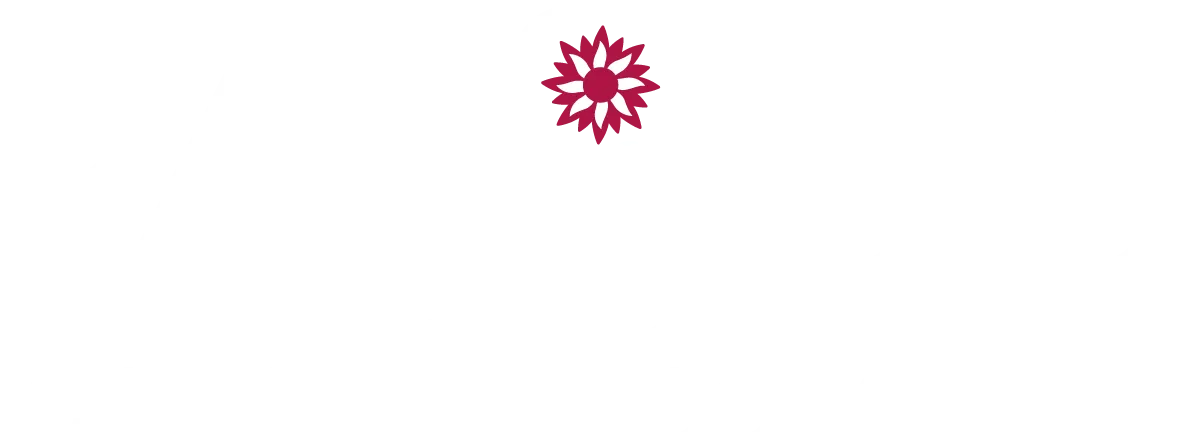 Femmes leader, transition de vie, coaching