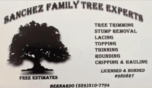 Tree Service Porterville