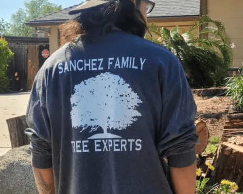 Tree Removal in Porterville