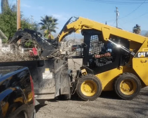 {{ custom_values.service_1 }} in {{custom_values.biz_area_1})