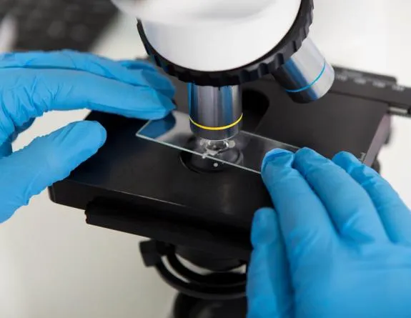 Closeup of a microscope with latex gloved hands arranging a glass slide