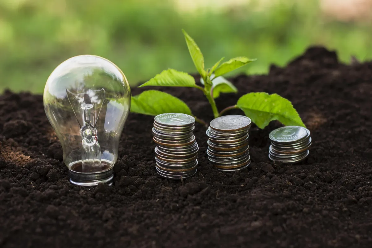 Glass lightbulb next to stacked coins and a small plant growing in soil, symbolizing energy savings, cost efficiency, and eco-friendly electrical solutions in Indianapolis. Visual concept of energy-efficient electrical upgrades and cost savings by Branch Electric. Serving Indianapolis and surrounding areas with eco-smart solutions.