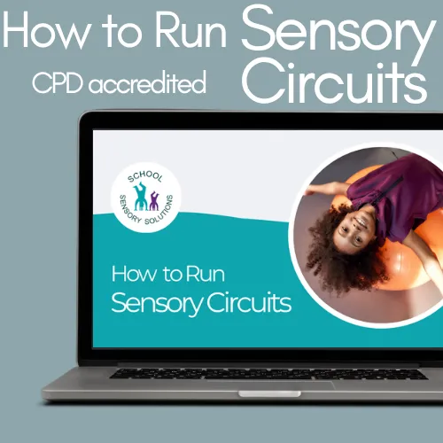 How to Run Sensory Circuits