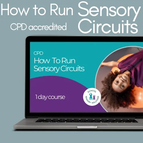 How to Run Sensory Circuits