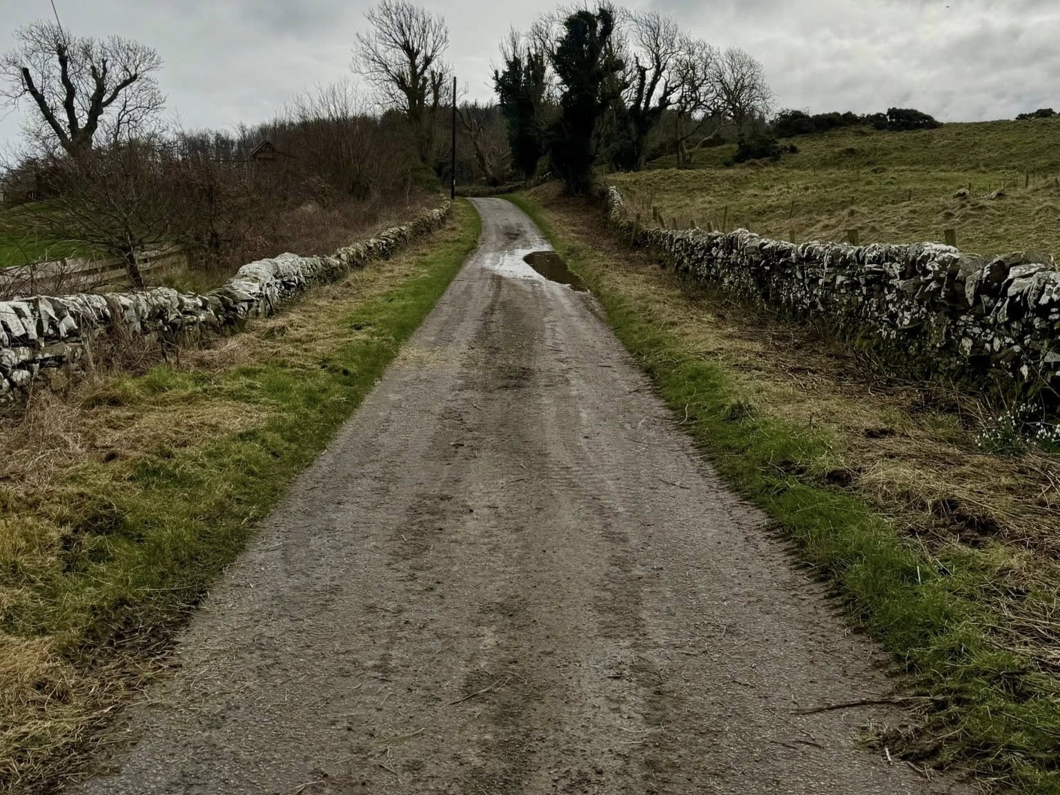 Completed roadside clearance works in Dumfries and Galloway by JF Groundworks showing improved access, visibility and a clean finished result