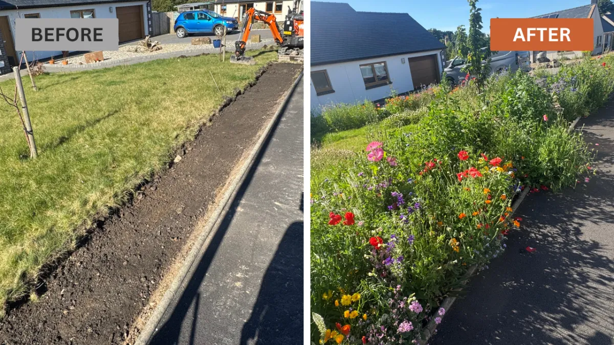 Before and after garden border preparation by JF Groundworks, showing cleared ground developed into a colourful planted border.