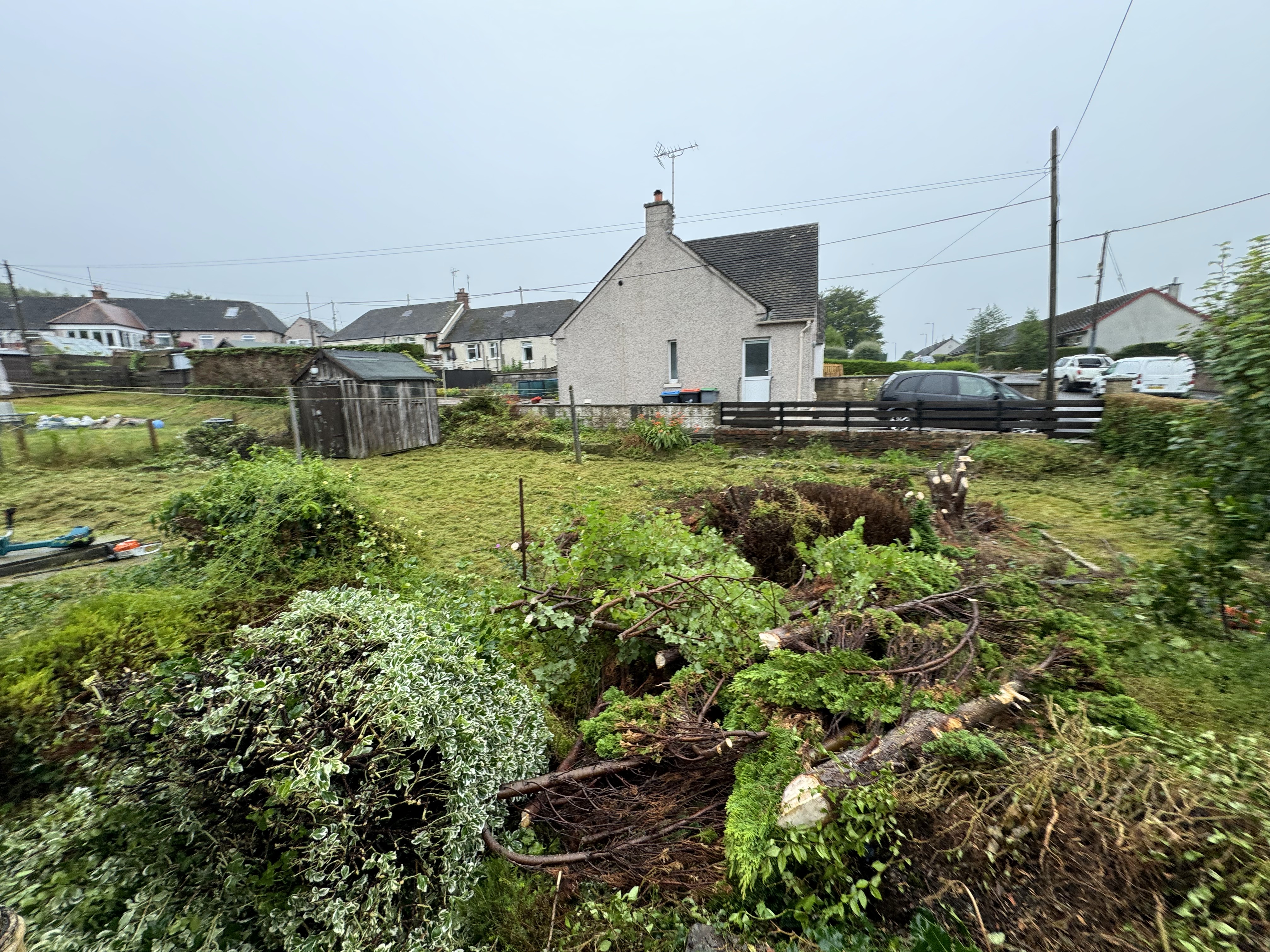 Garden area with cut vegetation and overgrowth before recovery and clearance works by JF Groundworks