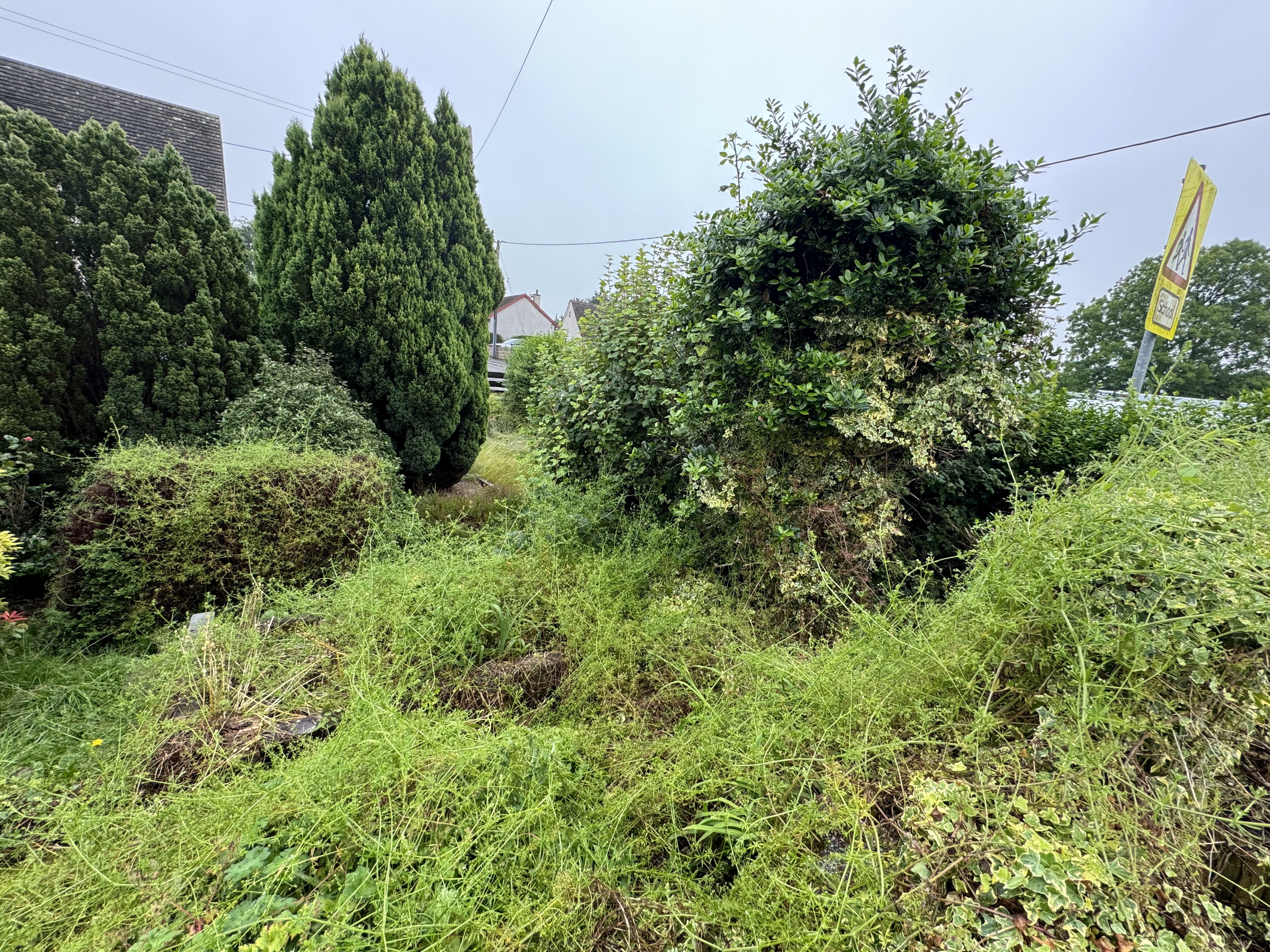 Overgrown garden area before clearance and recovery works by JF Groundworks in Dumfries and Galloway