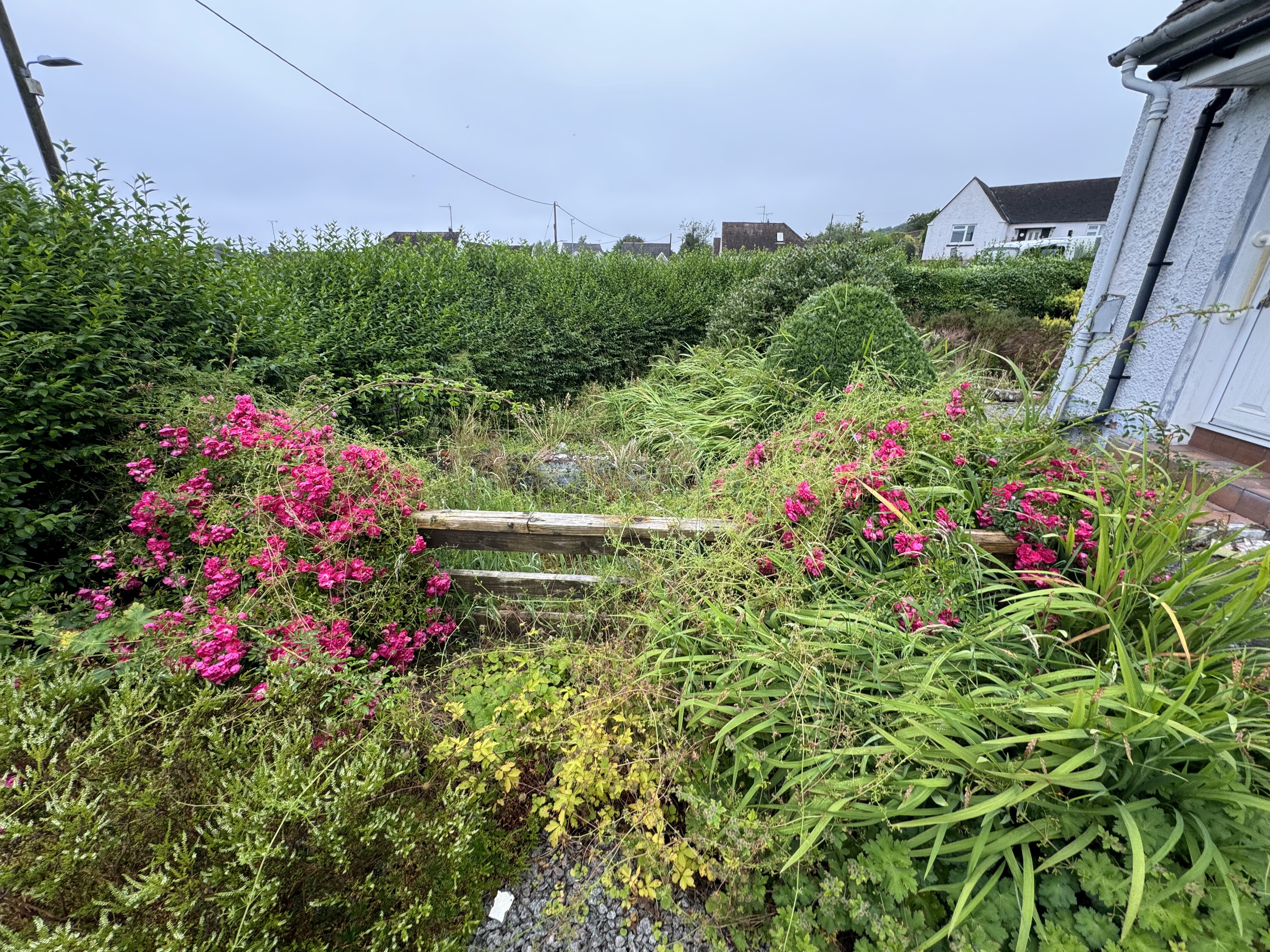 Overgrown garden fence and planting area before landscaping and clearance works by JF Groundworksinstallation project in Kirkcudbright by JF Groundworks using the Develon DX10z and Kubota KC70VHD-4 for excavation and material movement