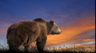 a dark background with a purple geometric design