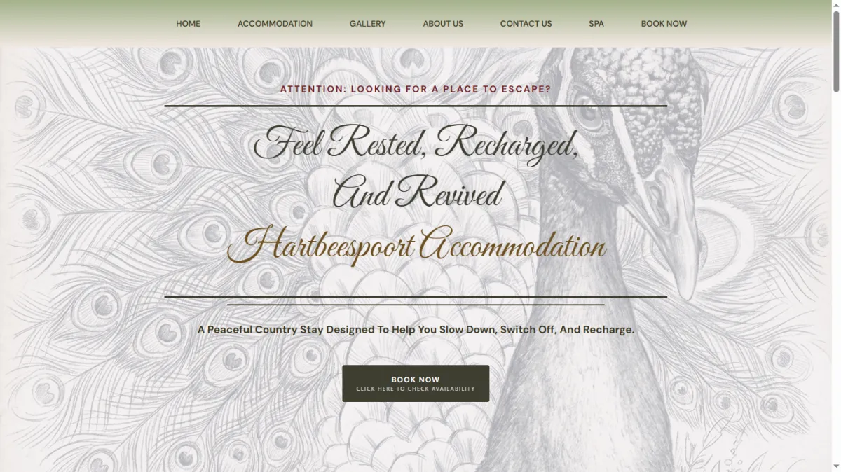 examples of website that was build by ukuthula