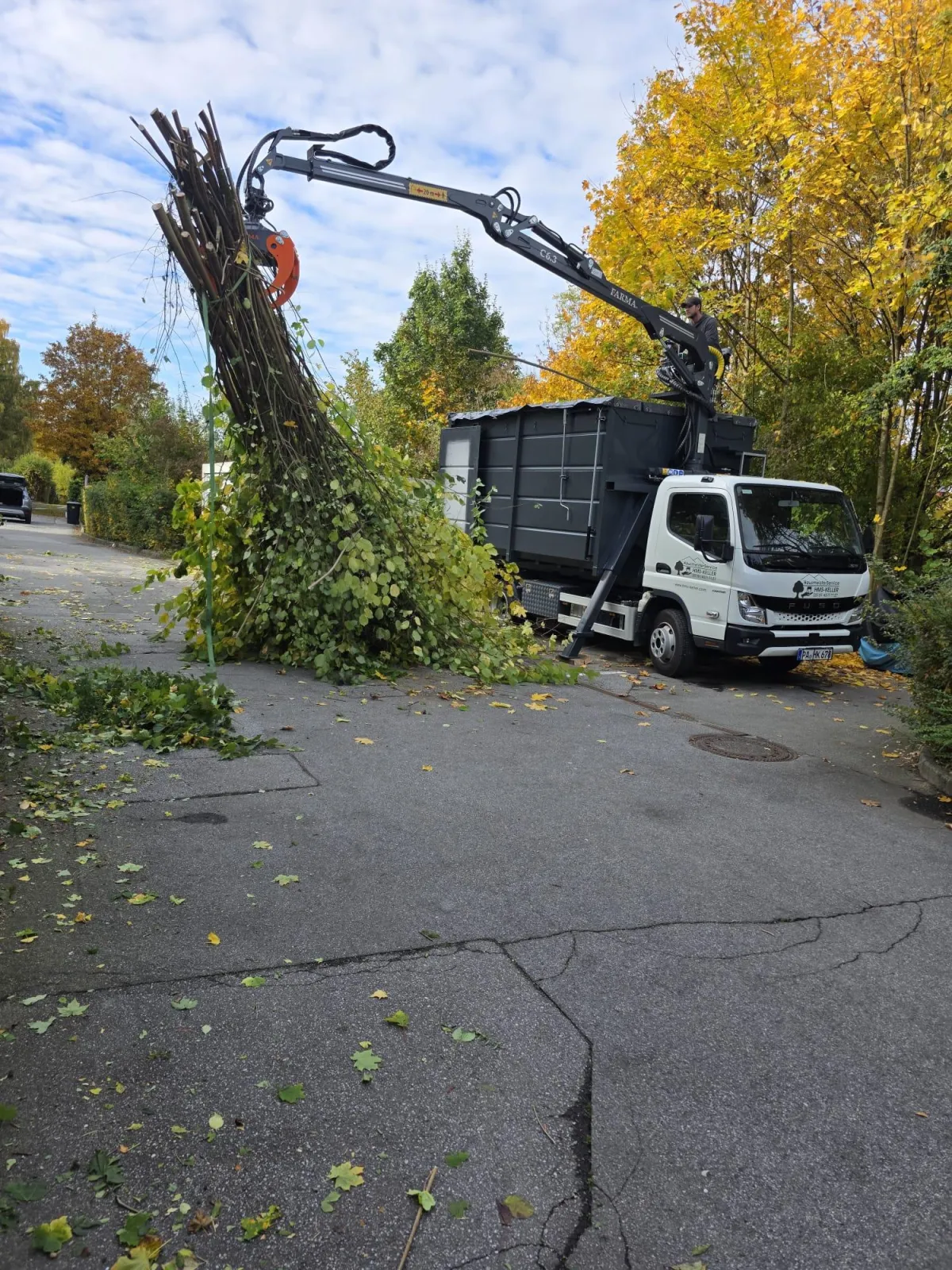 Baumpflege Entsorgung