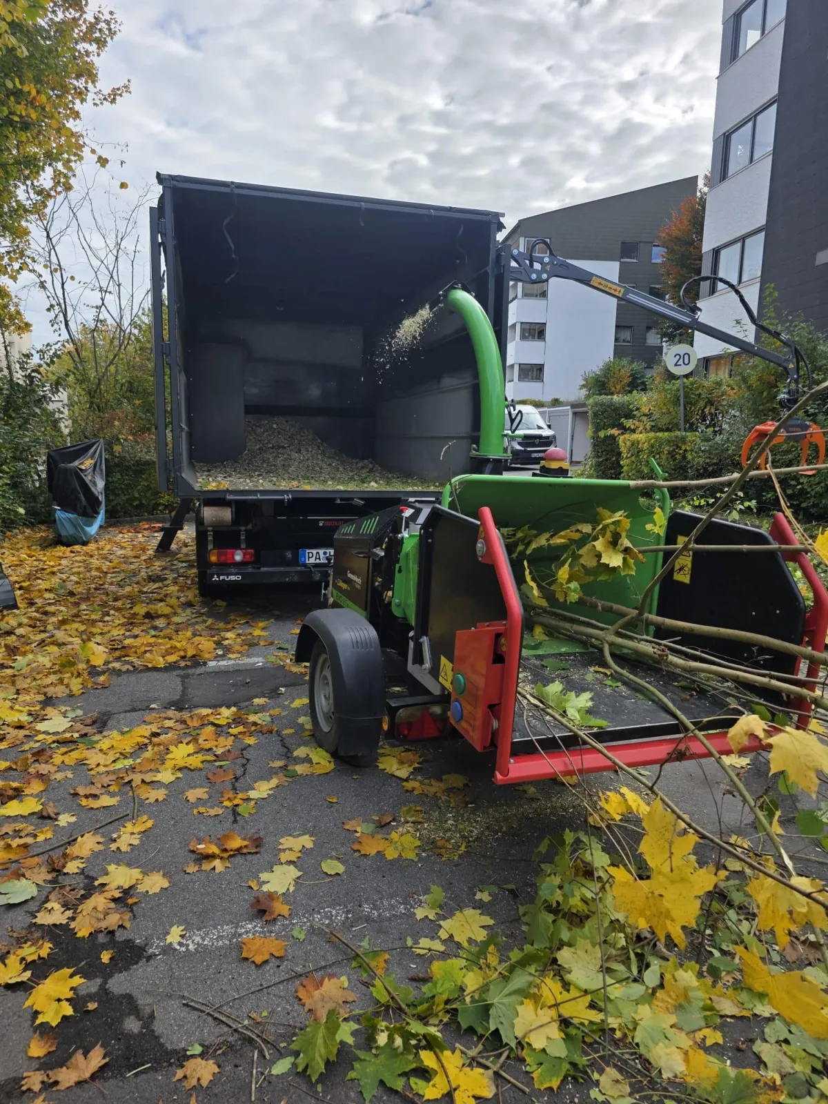 Baumpflege Entsorgung