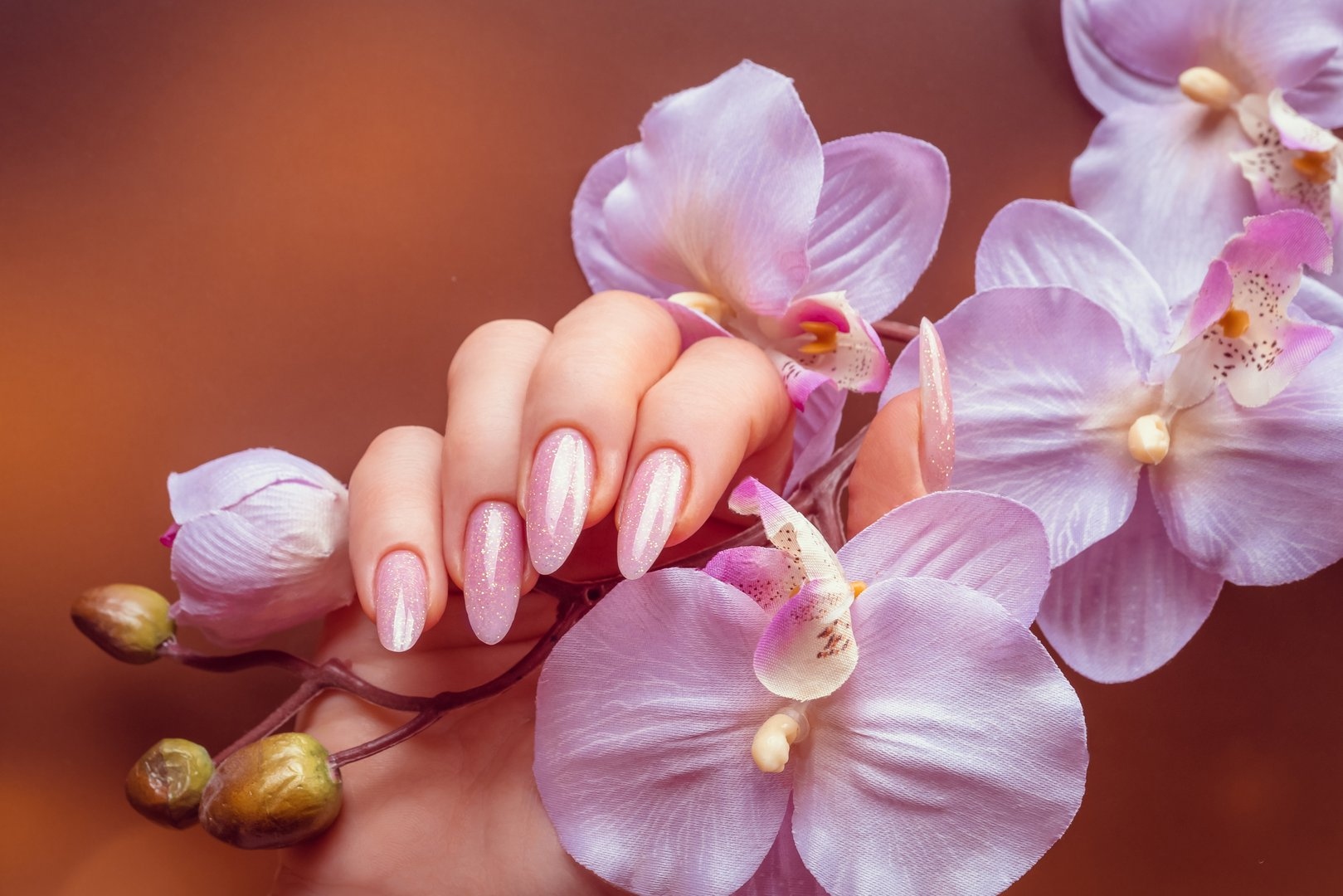 Nails holding orchid flowers near garland tx