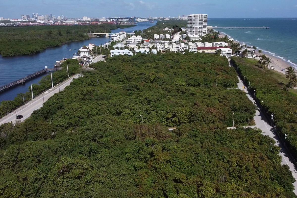 Neighborhood in Davie Florida