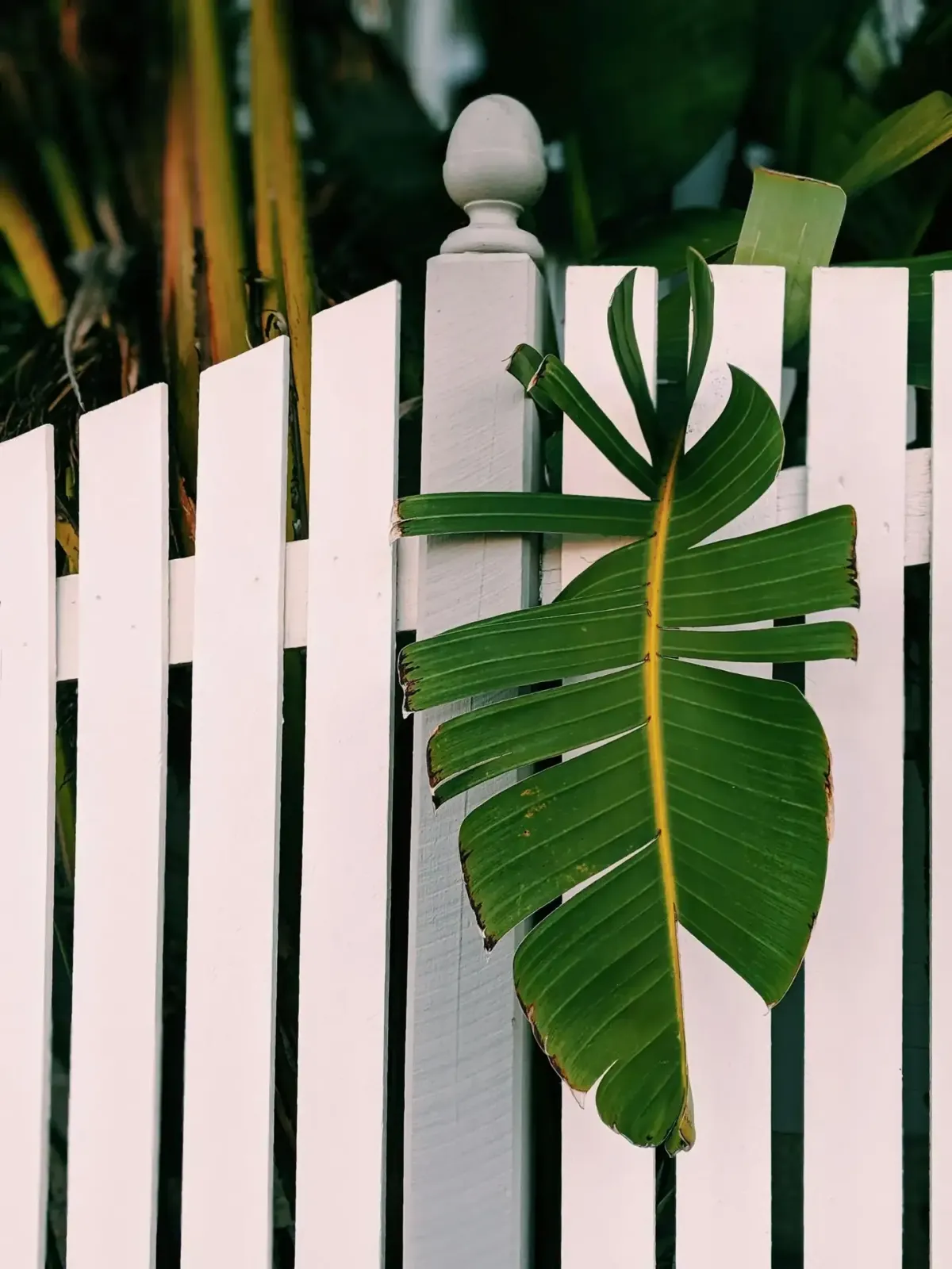 Our Fence Installation Process: What to Expect from Start to Finish