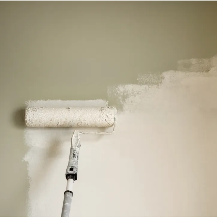  Stucco Painting