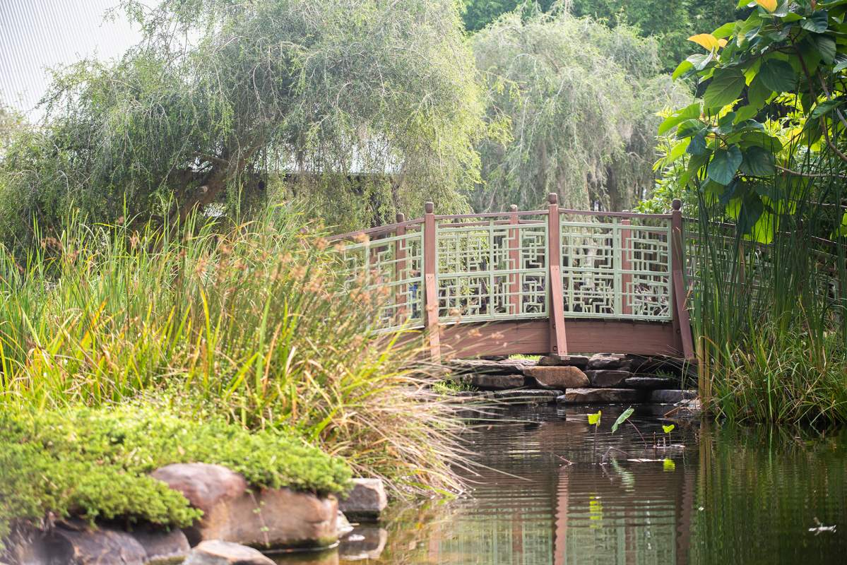 How to Rent a Car for Family Fun in Jacksonville: Zoos, Aquariums, and Outdoor Adventures — Alligenz Car Rental Management LLC, Jacksonville, FL