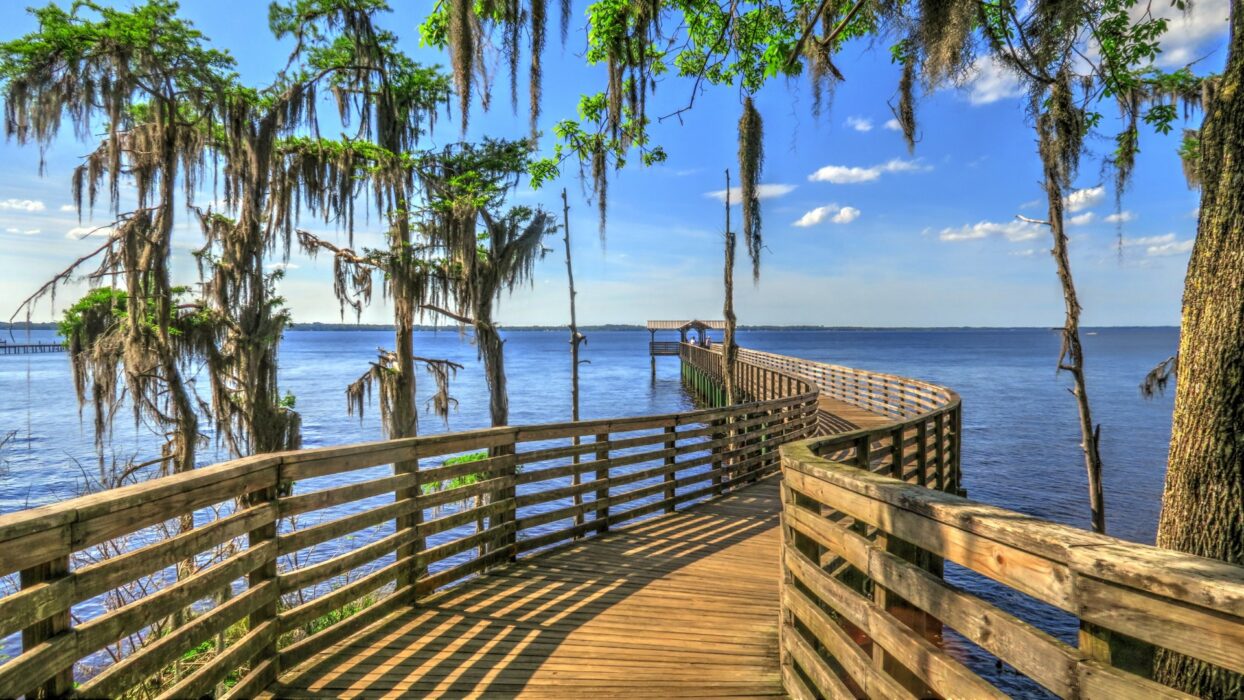 Renting a Car for Jacksonville Waterfront Adventures: St. Johns River, Beaches, and Parks | Alligenz Car Rental Management LLC – Jacksonville, FL 🚗🌊