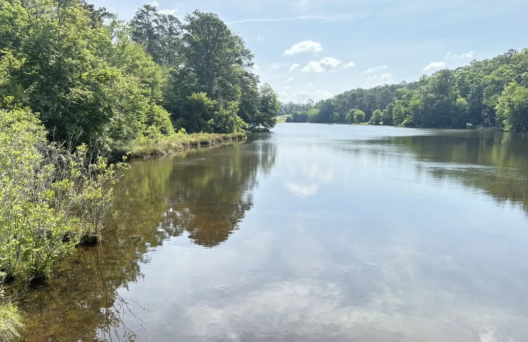 Weekend Getaway Guide from Riverdale to Panola Mountain State Park | RI Rents, Riverdale, GA