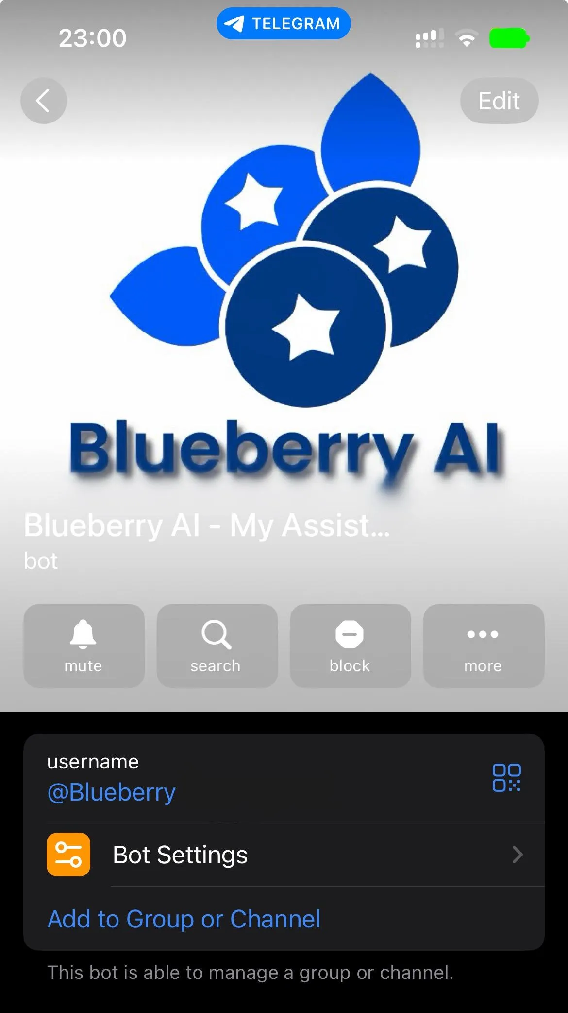 A picture showing the Blueberry AI assistant in Telegram
