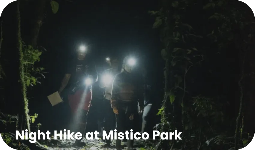 Travel with Josh Mini Combo 4