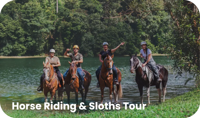 Horse Riding & Sloths Tour with Josh Cosa Rica