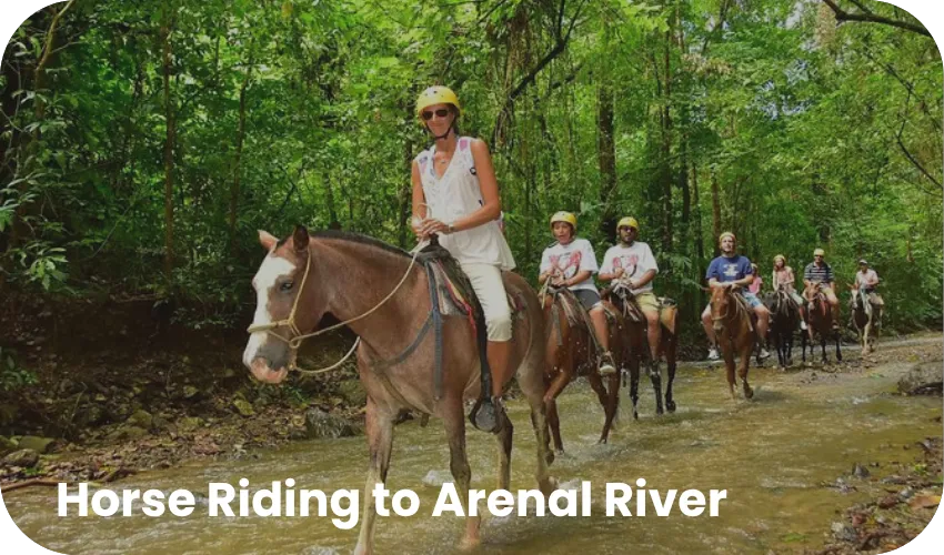 Travel with Josh Mini Combo 2