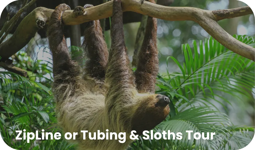 Travel with Josh Mini Combo 2