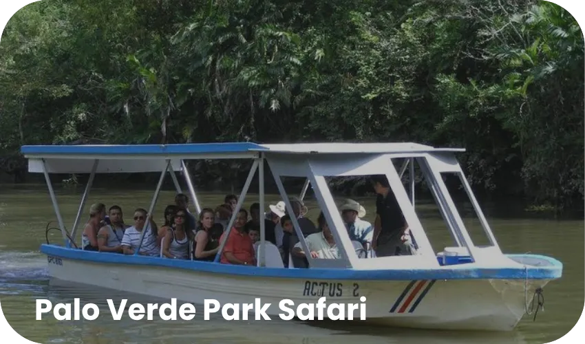 Travel with Josh Mini Combo 4