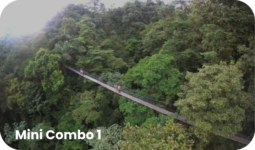 Travel with Josh Mini Combo 1