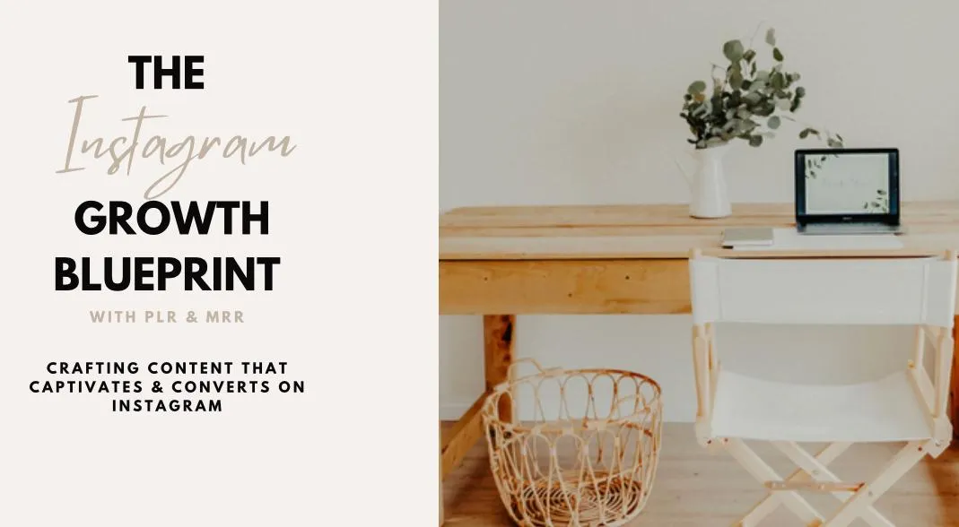 The Instagram Growth Blueprint