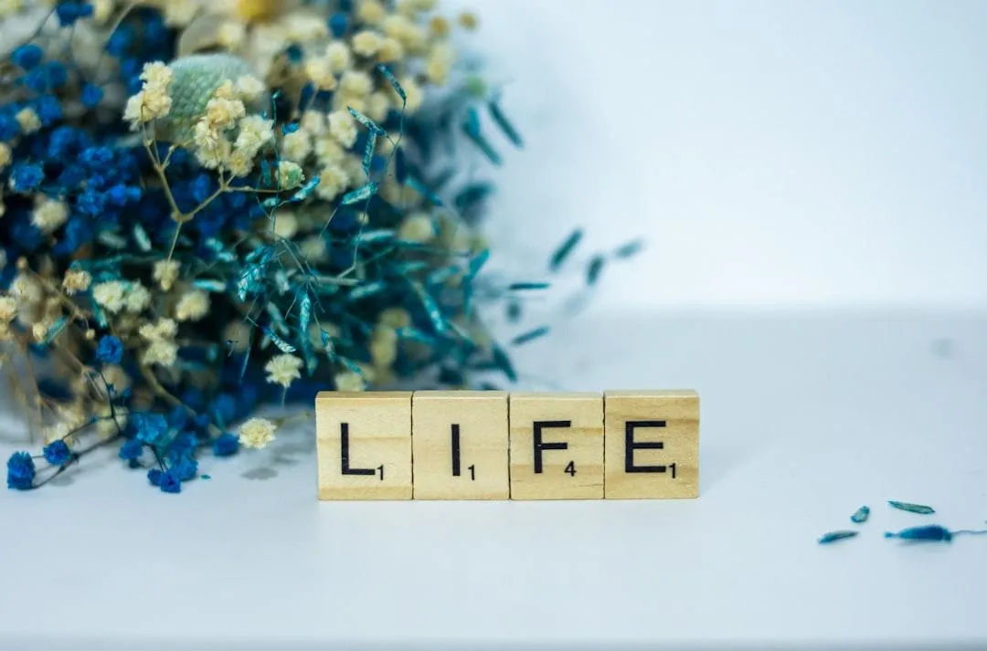 Blocks that spell the word life