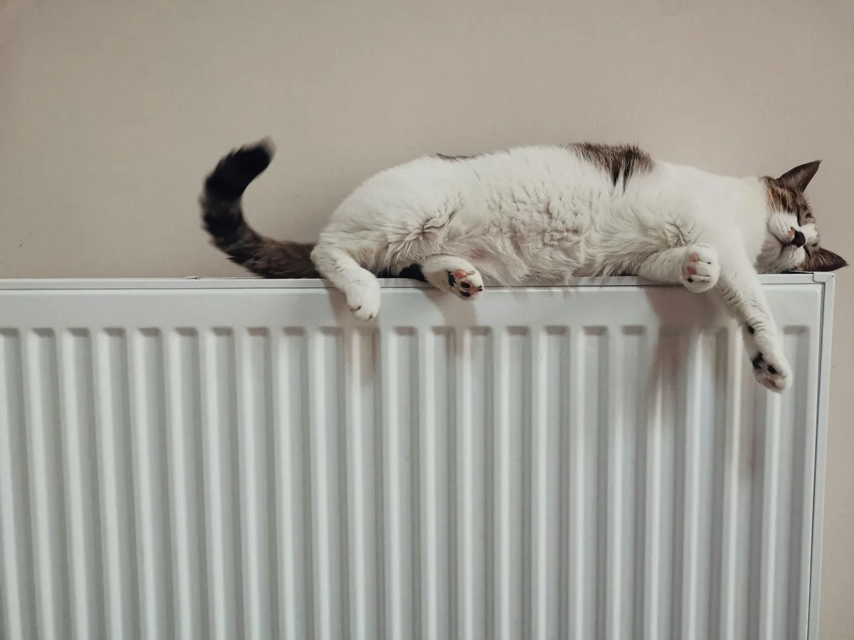 Central Heating Installation