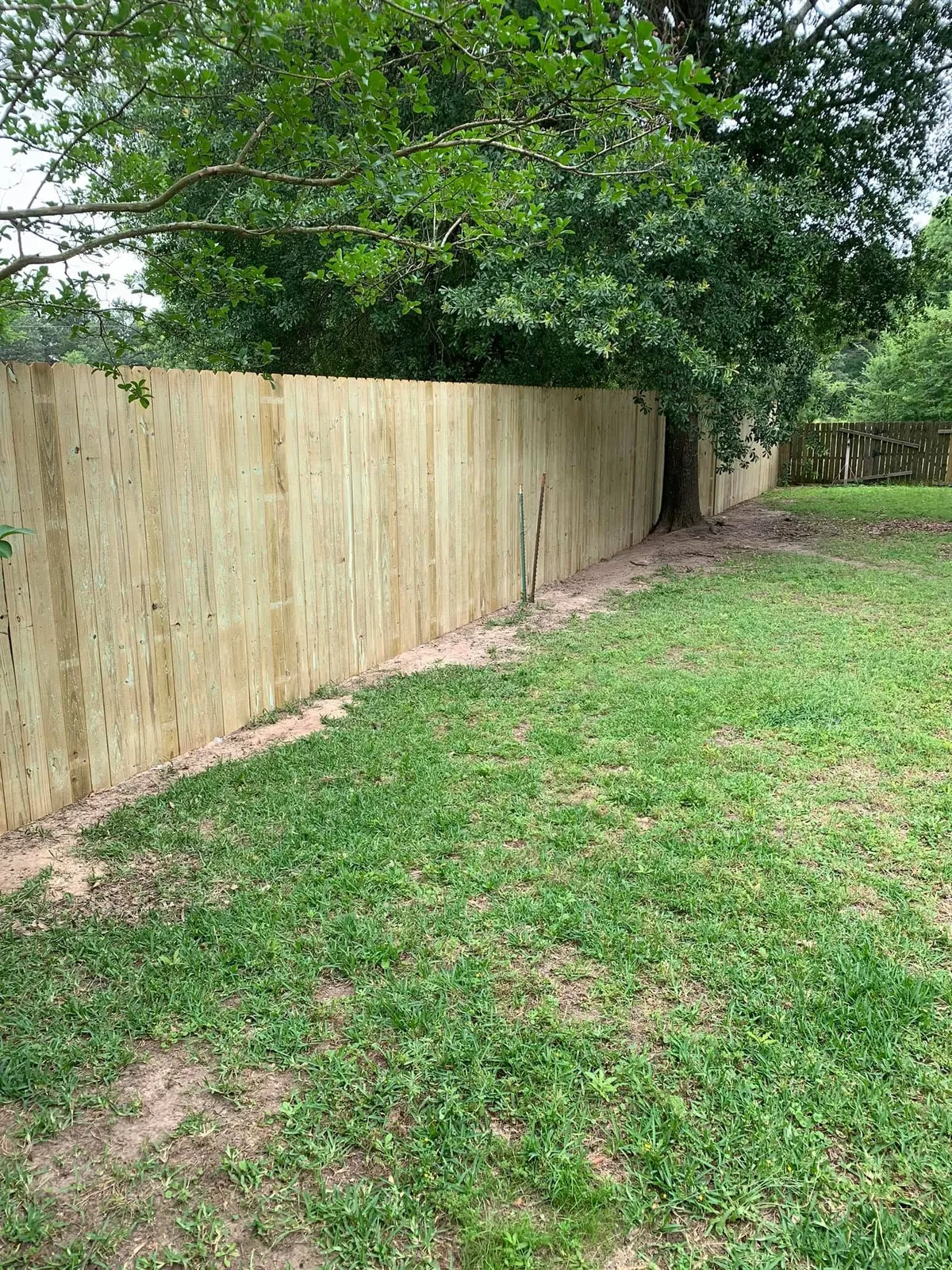 Long wood privacy fence line finished along a mowed back yard
