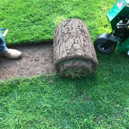 Sod Replacement and yard redesigns in Tyler TX