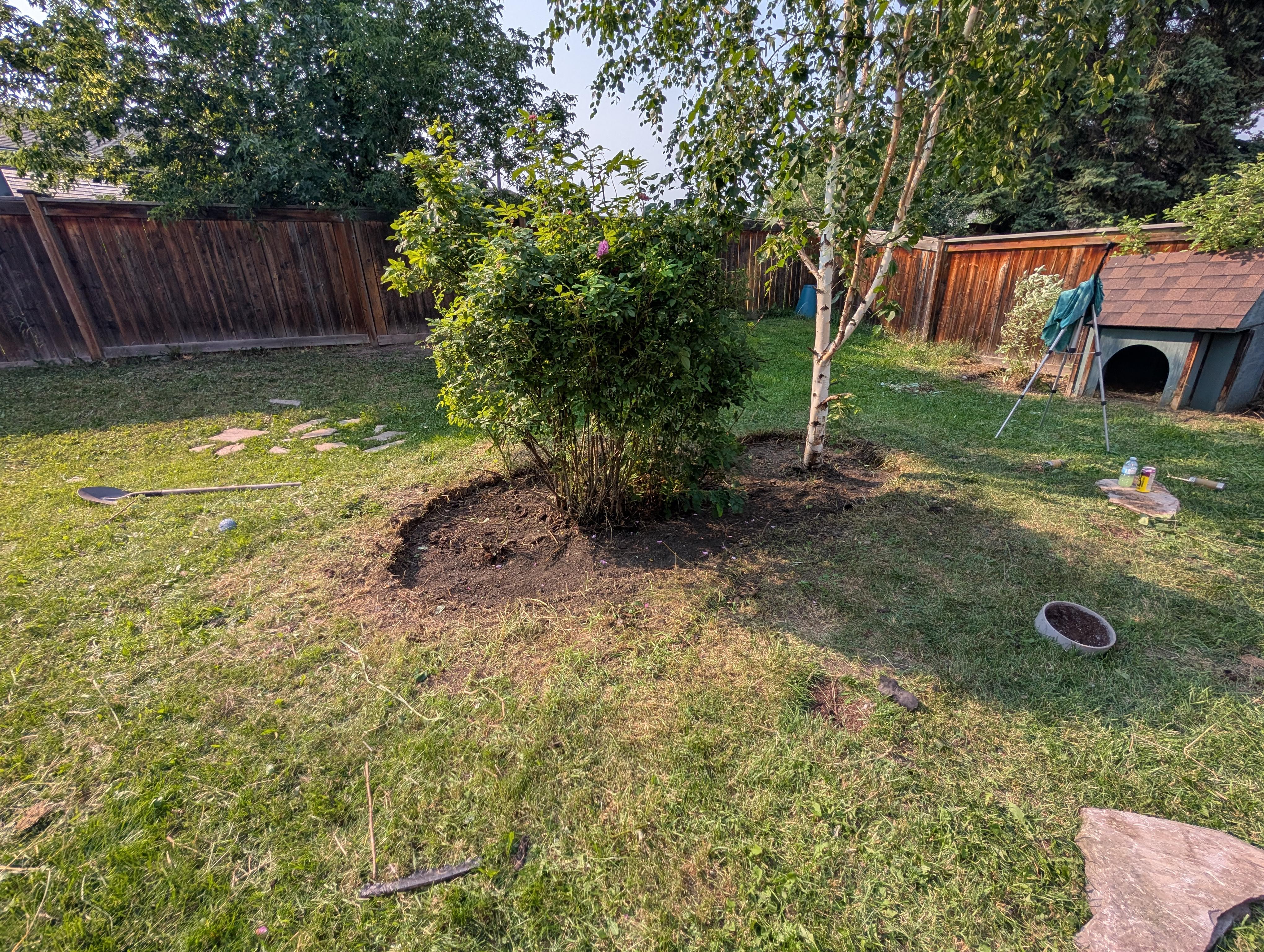 A clean, weed-free garden bed with premium black mulch