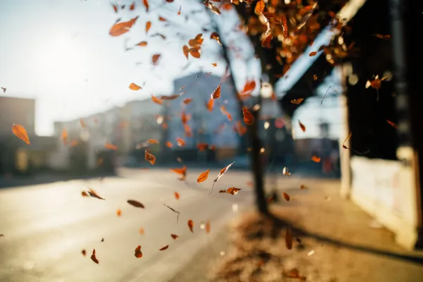 Why You Keep Attracting Emotionally Unavailable People