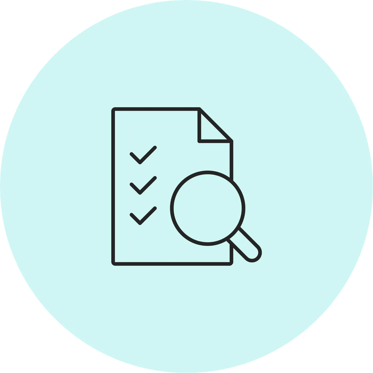Document checked magnifying glass icon