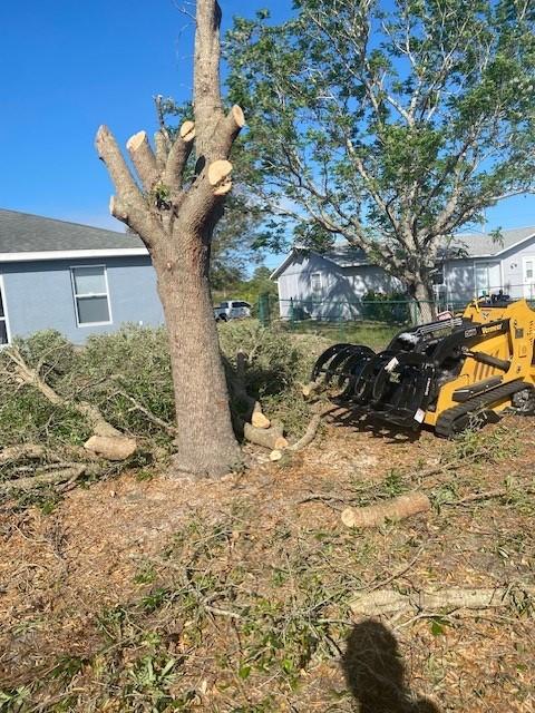 Tree Removal and Stump Grinding