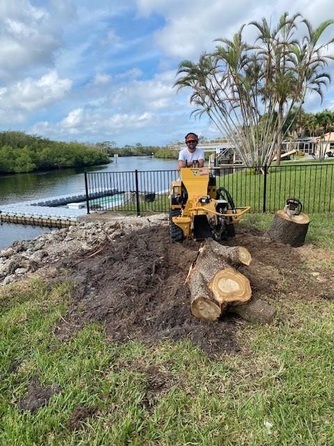 Storm Cleanup and Dumpster Rental