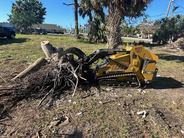 Tree Removal and Stump Grinding