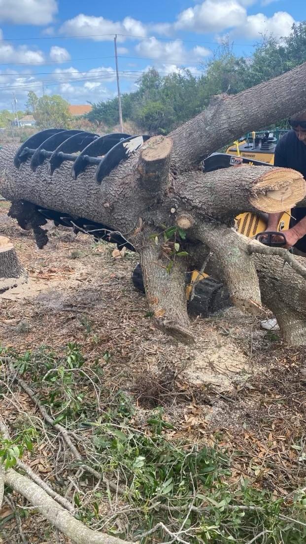 Tree Removal and Stump Grinding